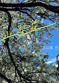 小梨花校园&am;nbs;&am;nbs;11